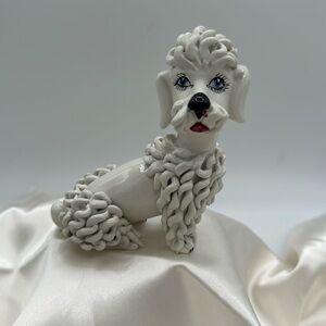 Spaghetti Poodle, Italy.